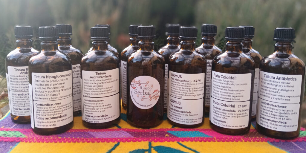 PRIMEROS 12 PRODUCTOS REC